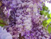 � ���� ��������� ������� ���������