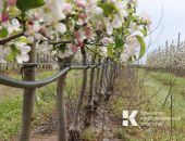 � ����� �� ������� ���������� ���������� 553 ������� ������, ��������, ���������