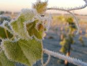 �������� � ����� ���� ��������� �� ����������