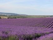 �� ���������� ���� ����� ������� ������ ������ � ������� ������������� �������