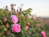 ���� �������������� ���� � ����� ��������� ����������� ������ ��������