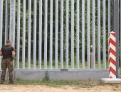 ������ �������� ����������� ������ �� ����� � ������� � ���������