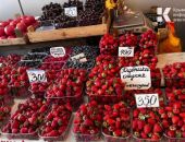 � ����� ������ �������� ��������