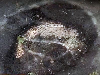 � ��������� ������� �������� � ������� ��������������� ����