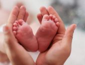 � ������ ���� � ����� �������� 43 ������ � ��� ������