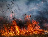 ��� ������������ ������� ����� ����: �� ����� 18 �������