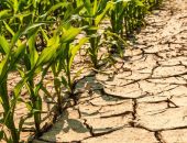 � ������� ������� ����� �� ������ ���������� ������ ��������