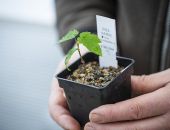 � �������������� ��������� ��������� ���������� ������ ����� ����