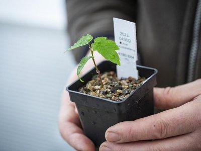 � �������������� ��������� ��������� ���������� ������ ����� ����