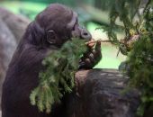 �� ������ ���� ������ ��������� � ���������