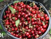 � ����� ���������� � ������ �������