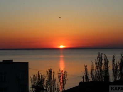 ��������: ������� ������� ������� ���