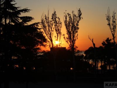 ��������: ������� ������� ������� ���