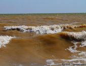 ����������� ��������� ���� ������ �������� ������� ����