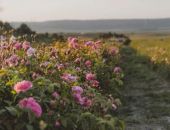 � ����� ������� ����� ������� �����