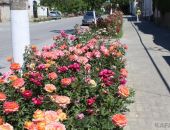 �������� ��������