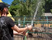 � �������� ����� � ���� �������� �������� �� ������ �����