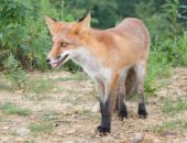 � ����� ������ ������������� ��� �� ���������