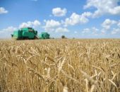 ��-�� �������� ���� ������� 8 ����� �� �������