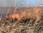 � �������� ������� ����� � ������� �������