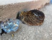 ������� �� ������ � ������� ������ ���