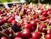 � ����� ������ ���� �������