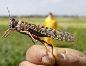 � ����� ��-�� ������ �������� ����������� ���� ��������� � ����