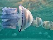 �� ����� ������ ����� ������ ����� ��������� ������