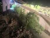 � ����� ����������� ���������� �������������� � ������� ������ �������