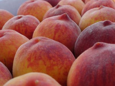 � ����� �� ��������� ������ ������ ������� �������