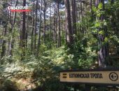 ����� � ����� ����� ������ ����� ������������� ����������