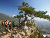 � ��������� ����������� ��������� ������������� �������� ��-�� ������� ���������������