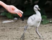 �������� ������� ������ ������������ � �����