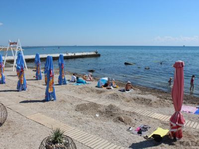 ��������: ��� 20 ���� ����...