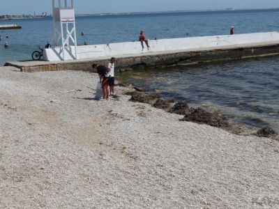 ��������: ��� 20 ���� ����...