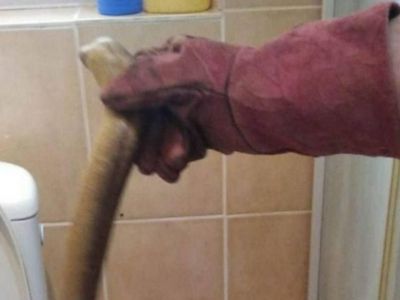 � ���� � ������ ������� ����� ���������� ����, �������� ����� ����������