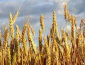 � ����� ��������� ��������� ����� 700 ����� ���� ������� ������ ������ 