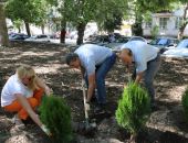 �� ���������� ����� � �������� �������� ���� ������