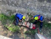 � ���� ������� ���� � ��������������� �����, ��������� �������� ��� 