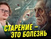 � ��� ��������� �������� ������ �������� ������