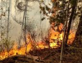 ������� ������ ������ ����� ����������� �� ������� � ��� ���� ����