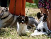 � ����������� ������ ��������� ��������� ����� "���� ������"