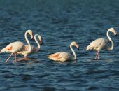 ������� �������� � �����