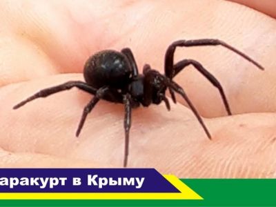 �������: ����� �������� ����� ������� � �����