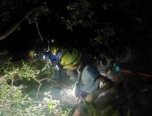 � ������ ������ ���������, ������� �������� � 50-��������� ������