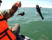 ��-�� ������� ����������� ���� � �������� ���� �������� ����������� ����� �����