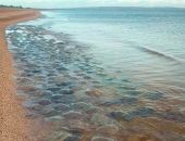 � ����� ���������� � ����� � ������ ��� ������ �� �����