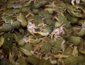 � ��������������� ������������� ������� ��������� ����� 