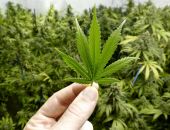 � �������� ������� ������ ���������� ����� ����� �� ���� ���������