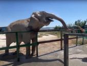 � ��������� ����� �������� ������� �� ���� � ������� ����������� ����